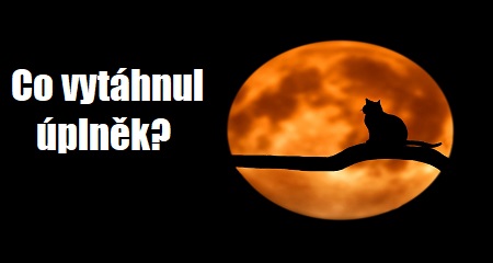 Jitka Bartošová: Co vytáhnul úplněk?