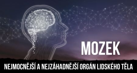 MOZEK: NEJMOCNĚJŠÍ A NEJZÁHADNĚJŠÍ ORGÁN LIDSKÉHO TĚLA