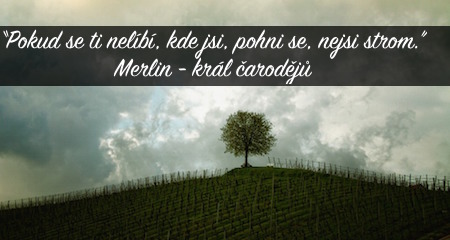 MERLIN král čarodějů: Pokud se ti nelíbí, kde jsi, pohni se, nejsi strom